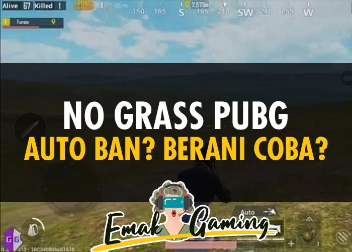 No Grass PUBG